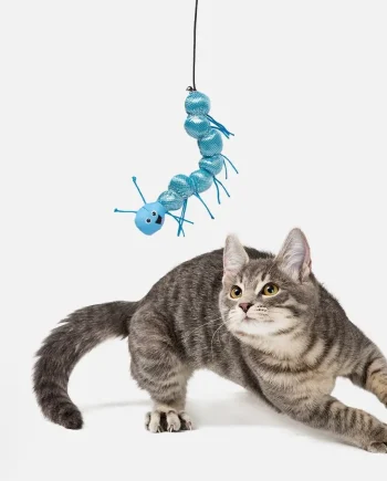 Caterpillar Dangler Cat Toy